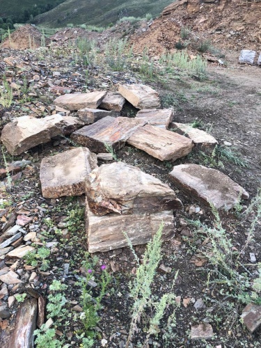 Плитняк кора дерева 50-100мм для пошаговых дорожек купить в Севастополе